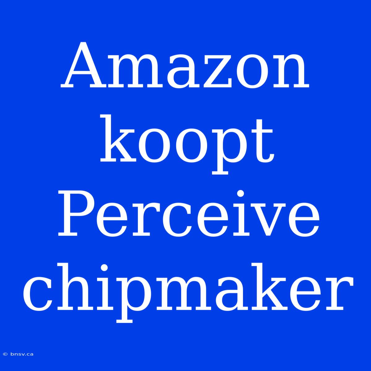 Amazon Koopt Perceive Chipmaker