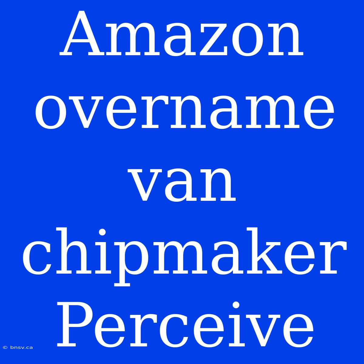 Amazon Overname Van Chipmaker Perceive