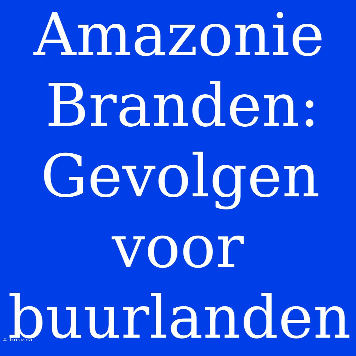 Amazonie Branden: Gevolgen Voor Buurlanden