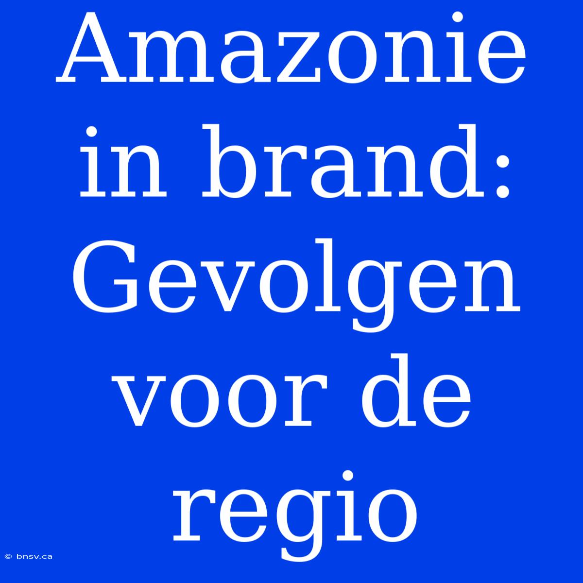 Amazonie In Brand: Gevolgen Voor De Regio