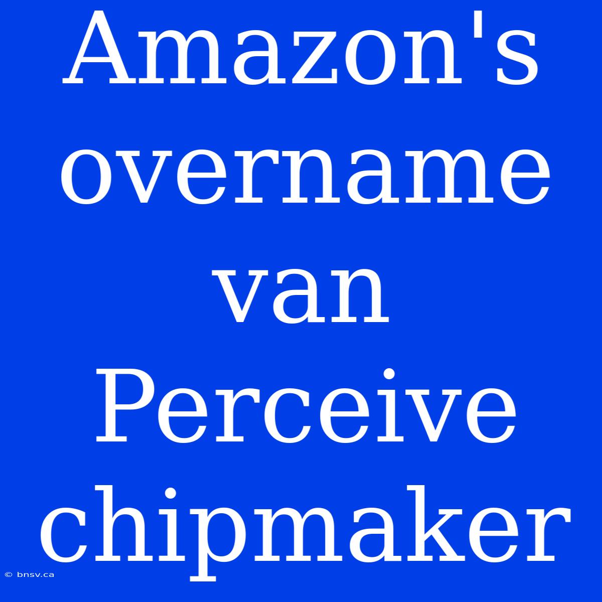 Amazon's Overname Van Perceive Chipmaker