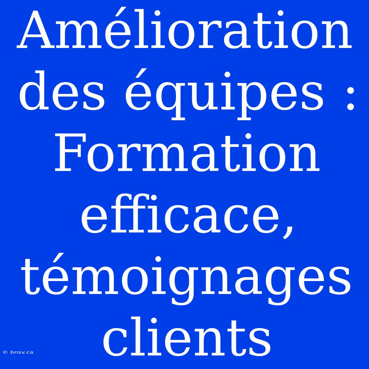 Amélioration Des Équipes :  Formation Efficace, Témoignages Clients