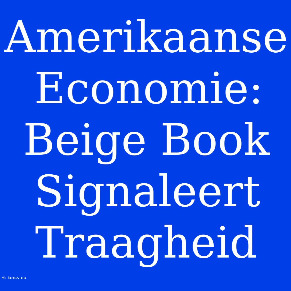 Amerikaanse Economie: Beige Book Signaleert Traagheid