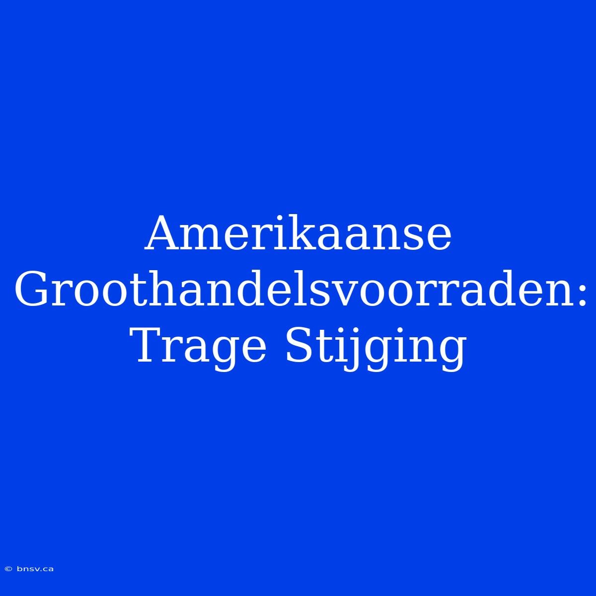 Amerikaanse Groothandelsvoorraden: Trage Stijging