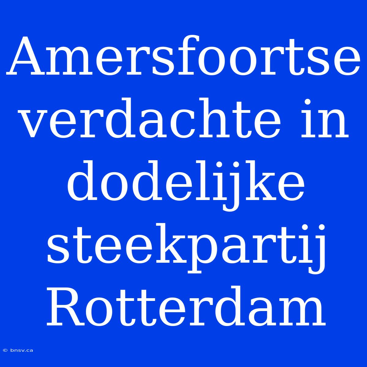 Amersfoortse Verdachte In Dodelijke Steekpartij Rotterdam