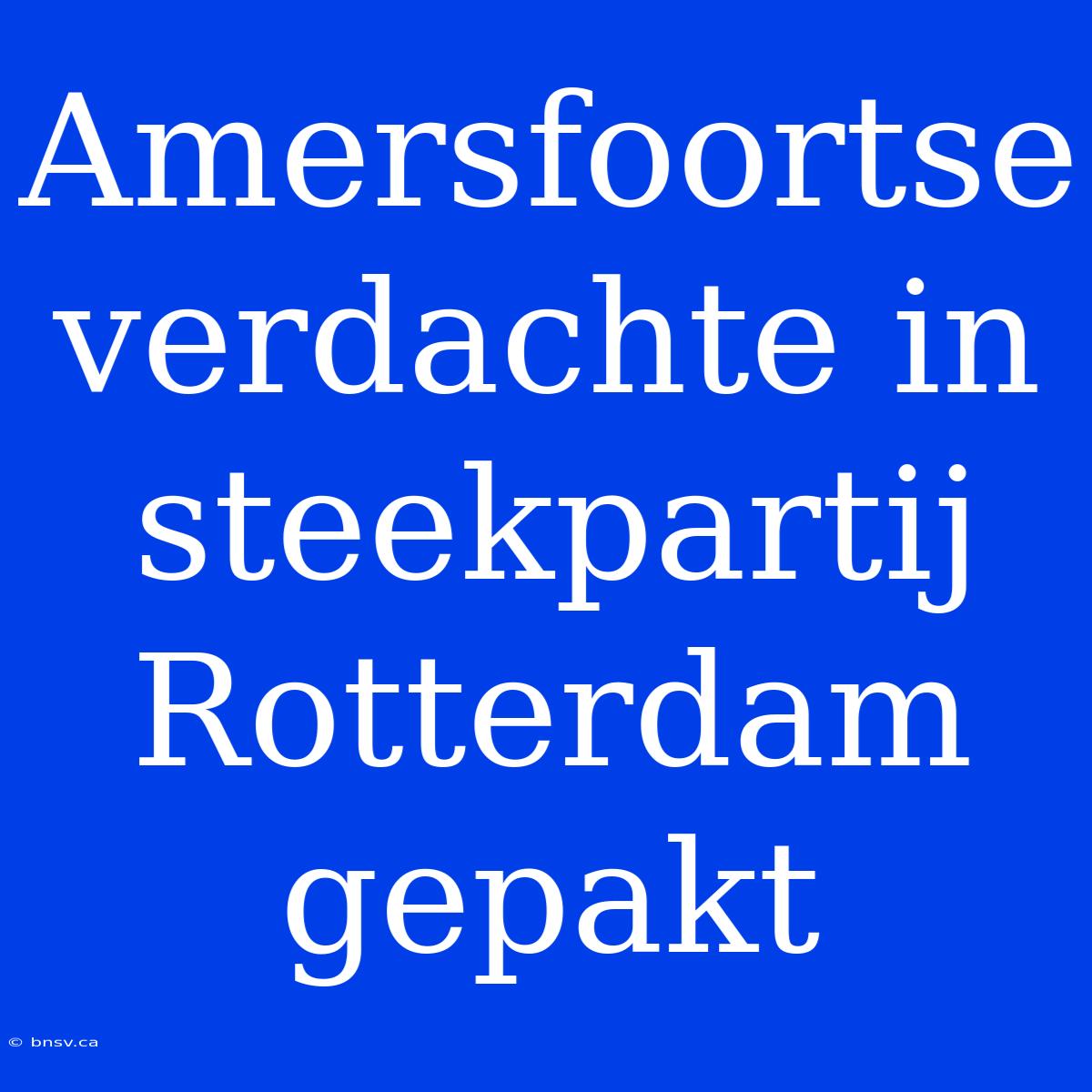 Amersfoortse Verdachte In Steekpartij Rotterdam Gepakt