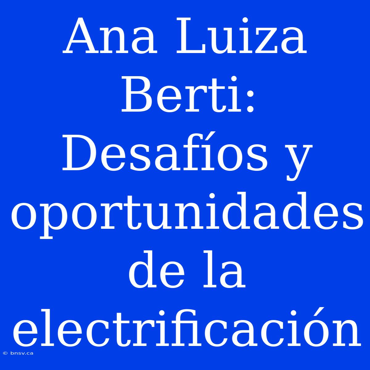 Ana Luiza Berti: Desafíos Y Oportunidades De La Electrificación