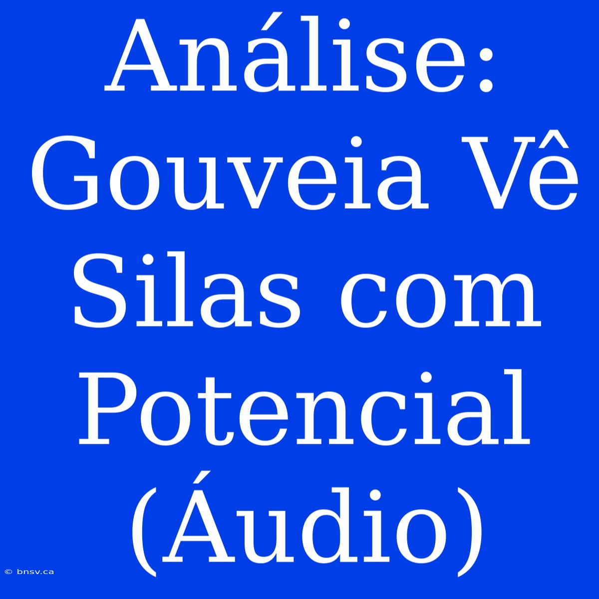 Análise: Gouveia Vê Silas Com Potencial (Áudio)