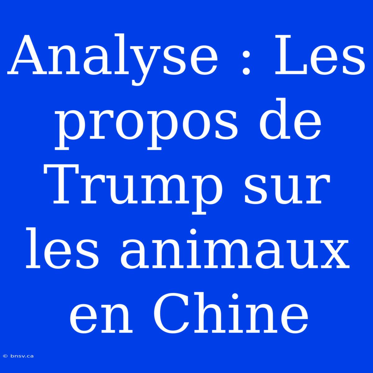 Analyse : Les Propos De Trump Sur Les Animaux En Chine