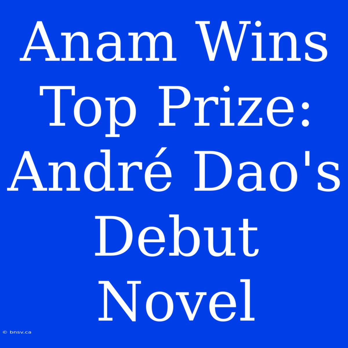 Anam Wins Top Prize: André Dao's Debut Novel