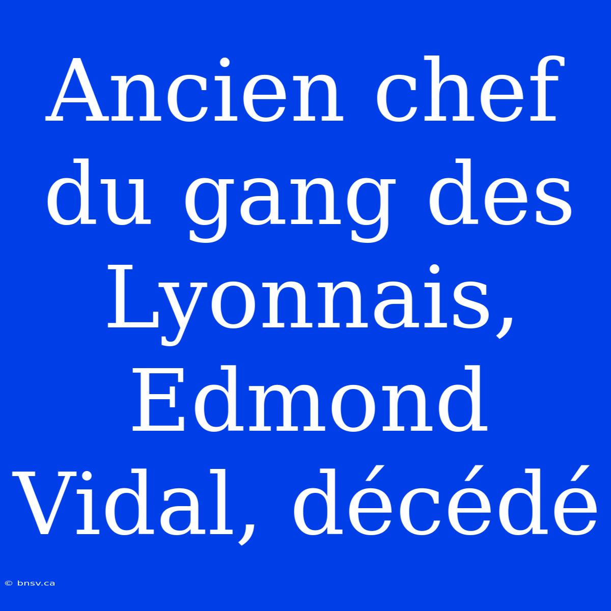 Ancien Chef Du Gang Des Lyonnais, Edmond Vidal, Décédé