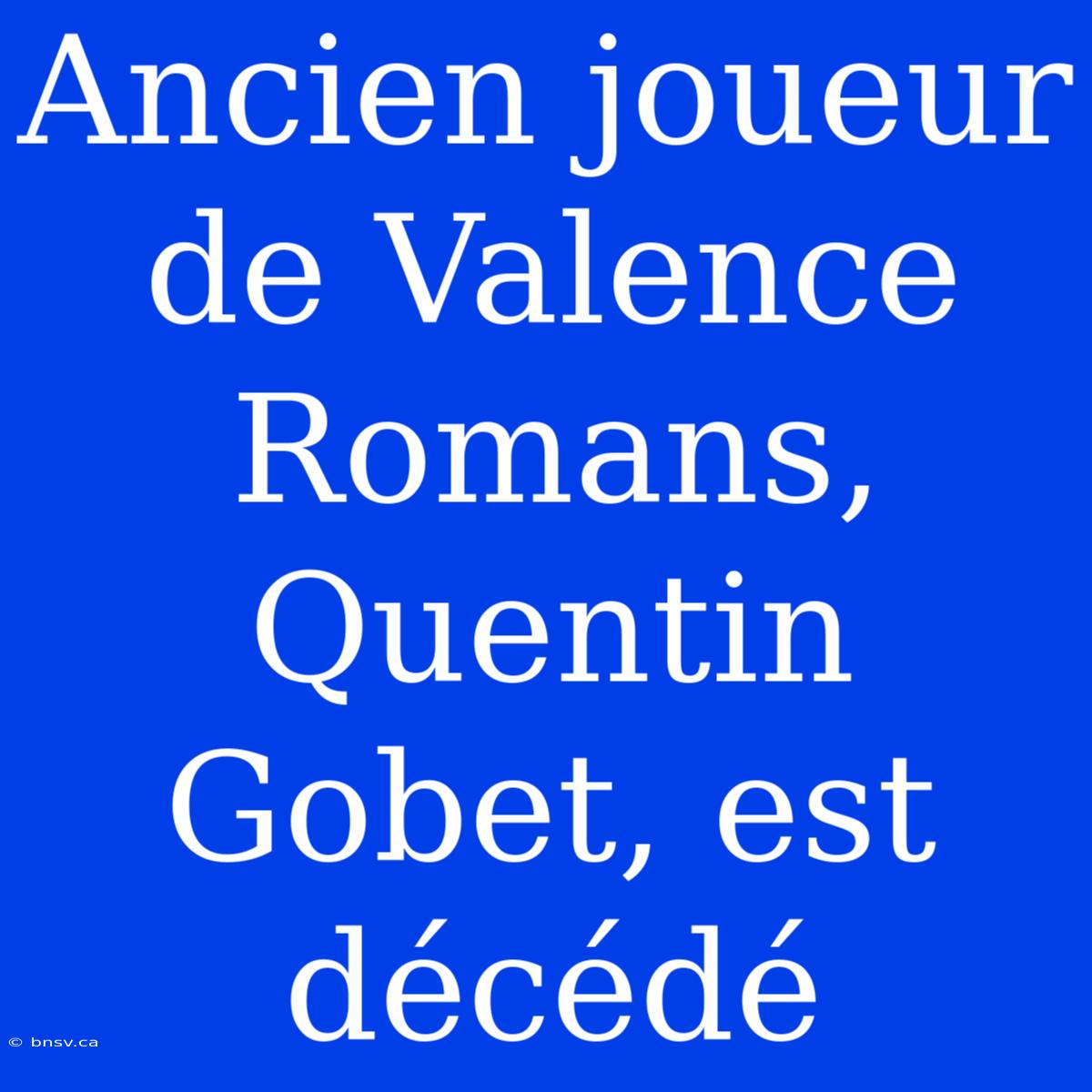 Ancien Joueur De Valence Romans, Quentin Gobet, Est Décédé