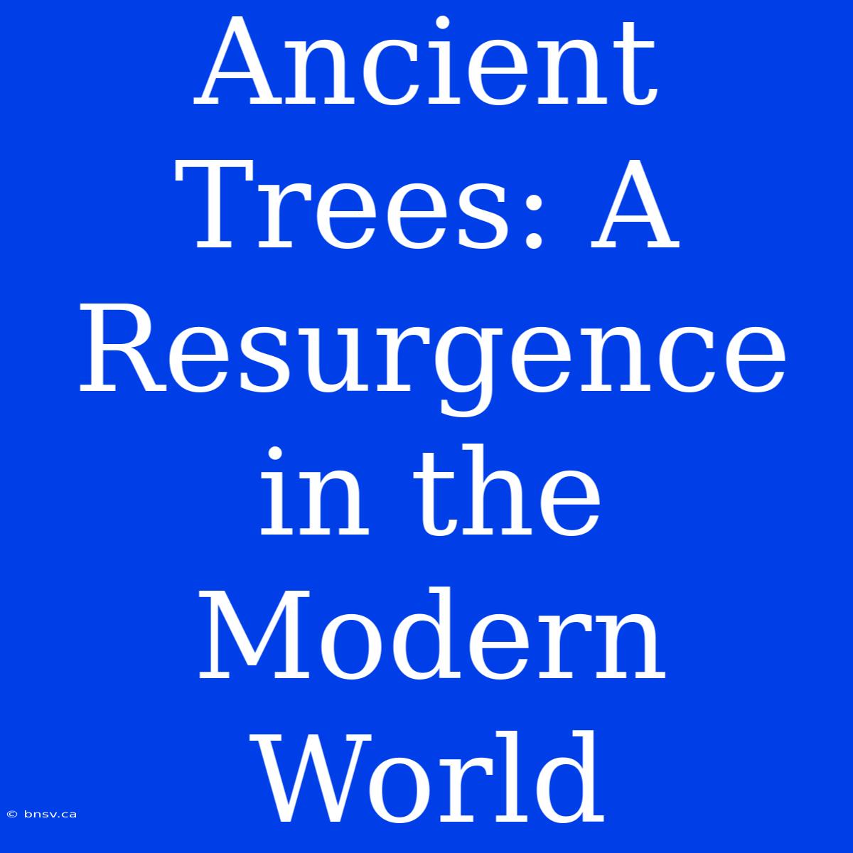 Ancient Trees: A Resurgence In The Modern World