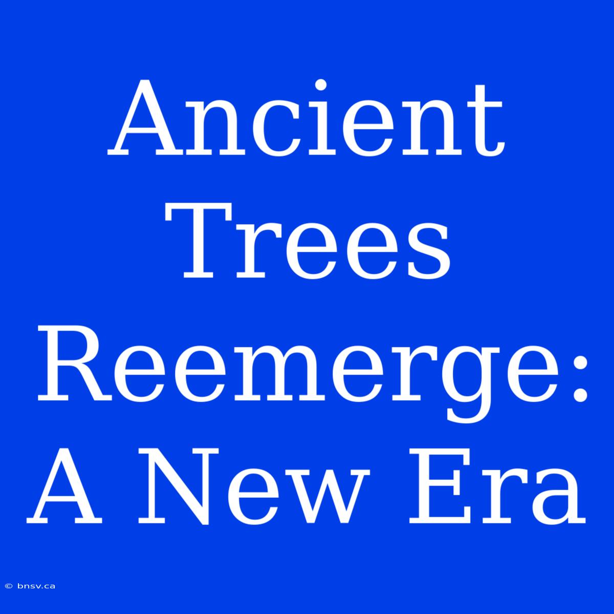 Ancient Trees Reemerge: A New Era