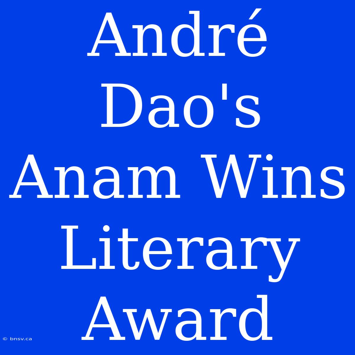 André Dao's Anam Wins Literary Award