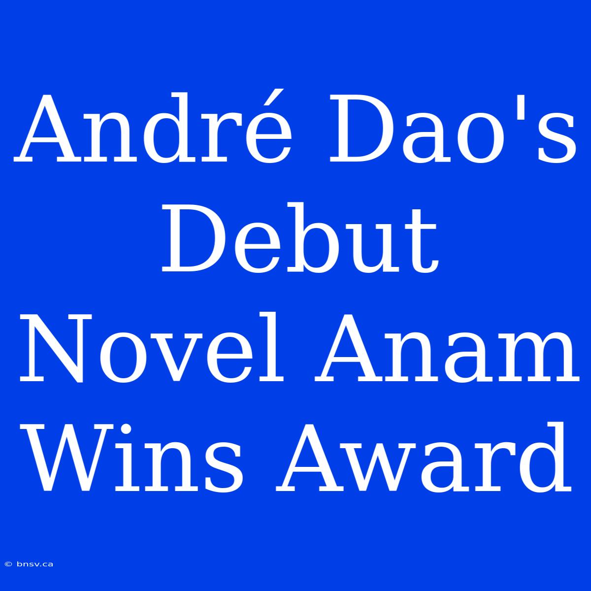 André Dao's Debut Novel Anam Wins Award