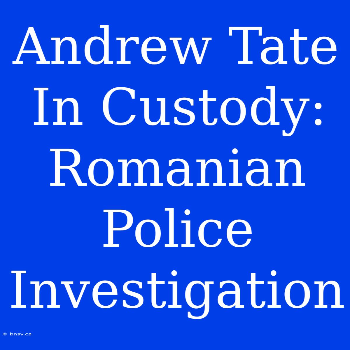 Andrew Tate In Custody: Romanian Police Investigation