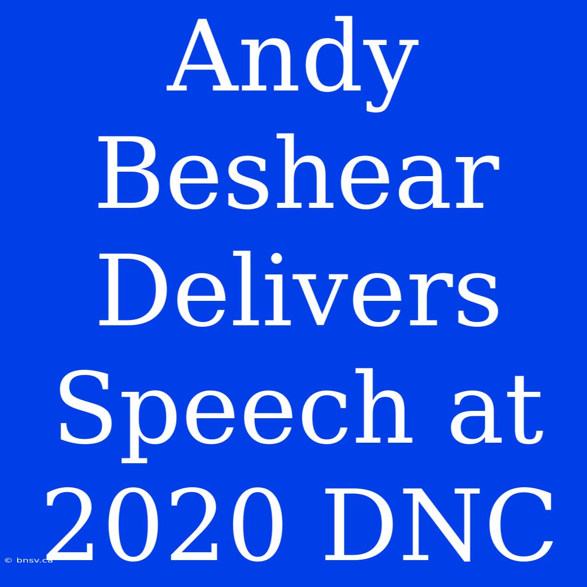 Andy Beshear Delivers Speech At 2020 DNC