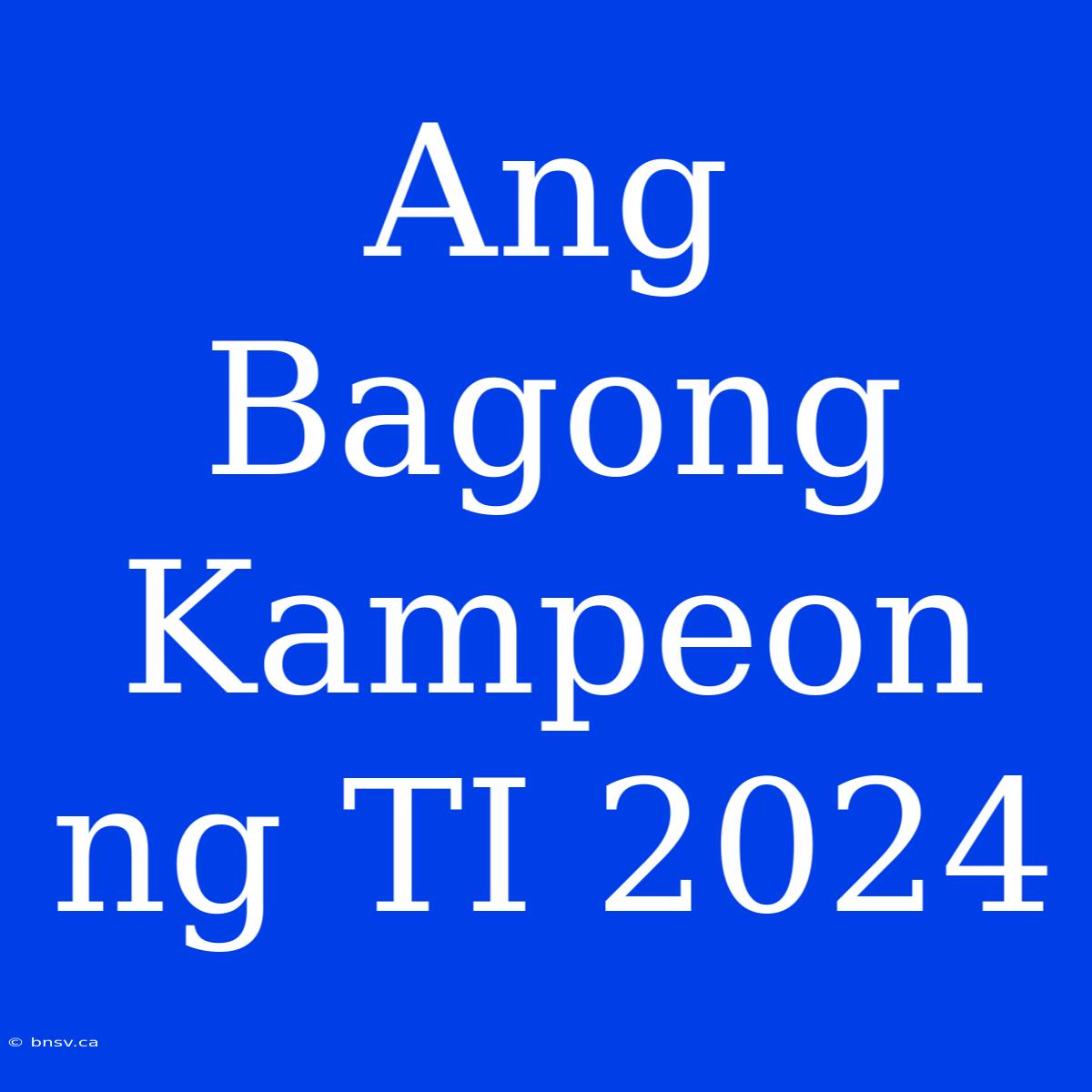 Ang Bagong Kampeon Ng TI 2024