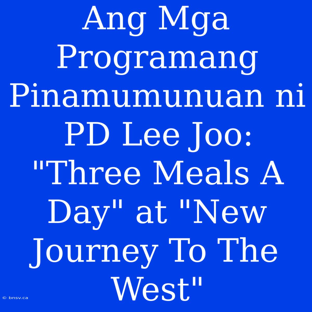 Ang Mga Programang Pinamumunuan Ni PD Lee Joo: 