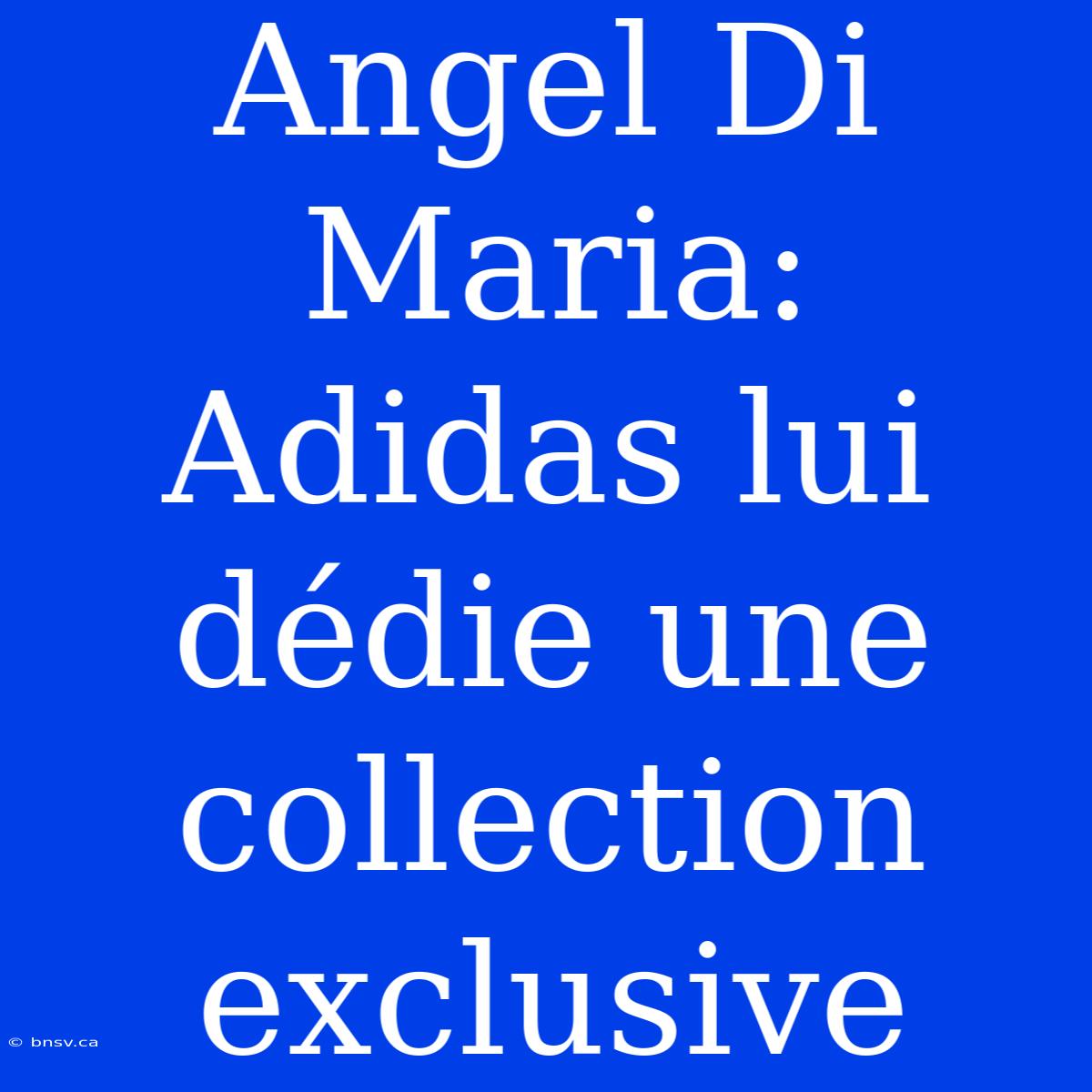 Angel Di Maria: Adidas Lui Dédie Une Collection Exclusive