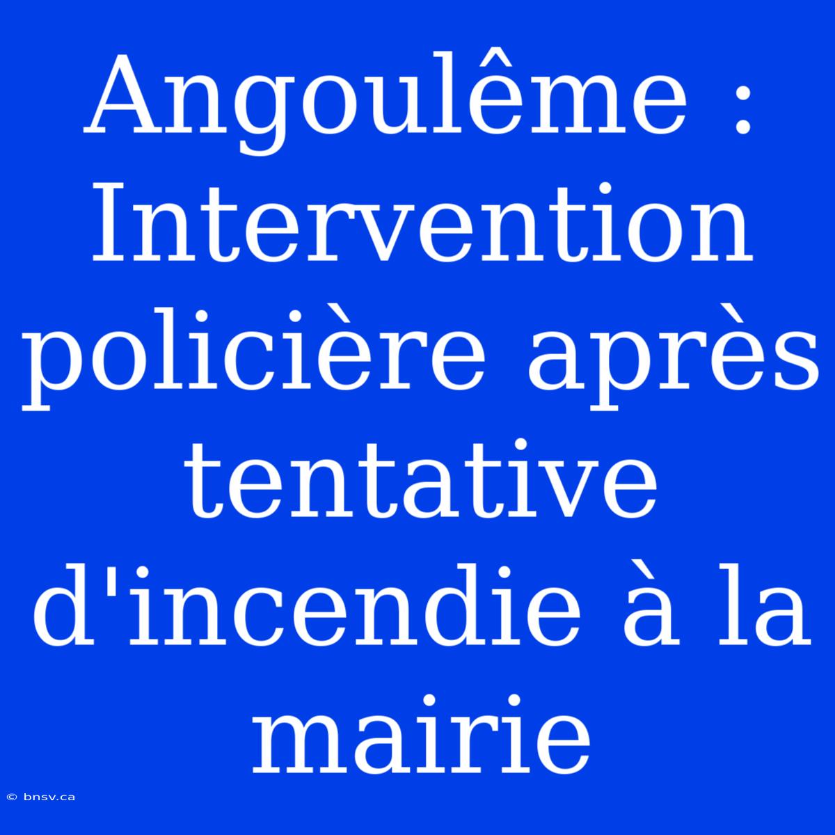 Angoulême : Intervention Policière Après Tentative D'incendie À La Mairie