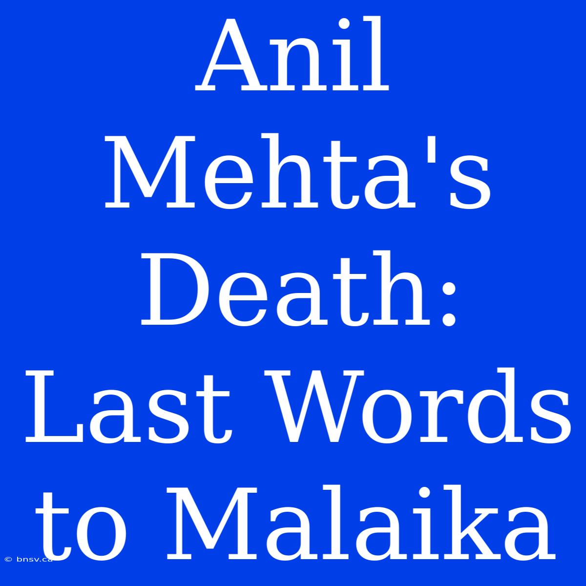 Anil Mehta's Death: Last Words To Malaika