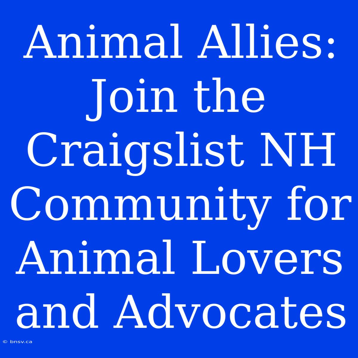 Animal Allies: Join The Craigslist NH Community For Animal Lovers And Advocates