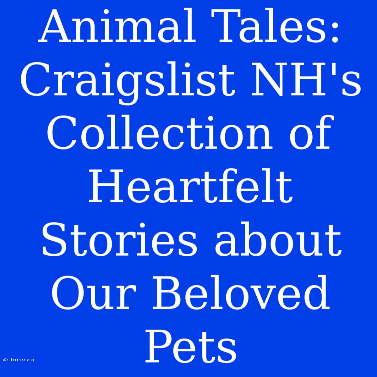 Animal Tales: Craigslist NH's Collection Of Heartfelt Stories About Our Beloved Pets