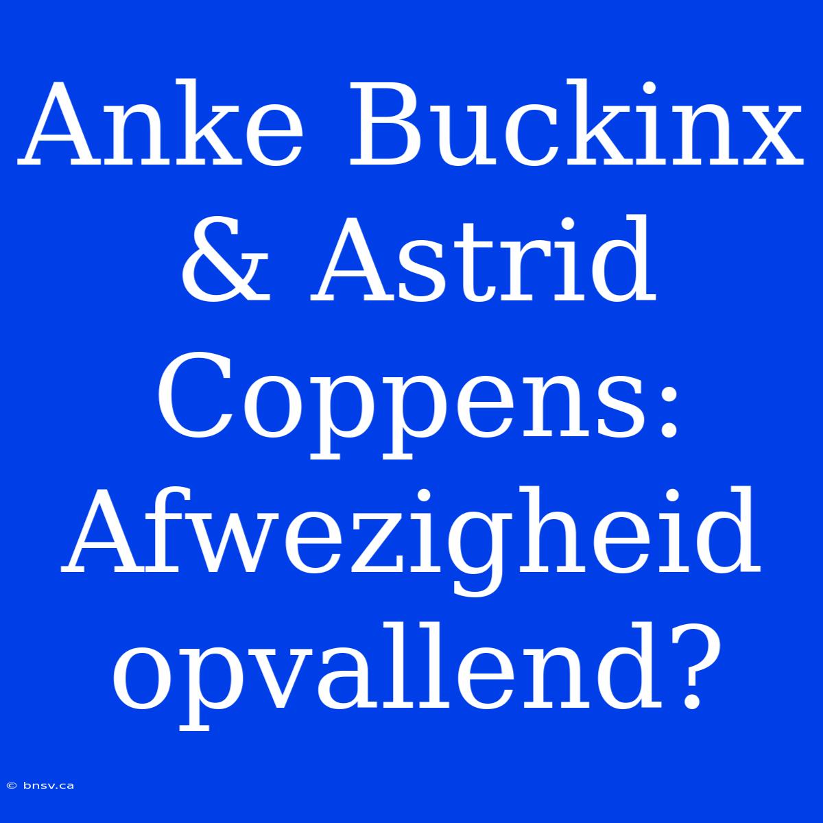 Anke Buckinx & Astrid Coppens: Afwezigheid Opvallend?