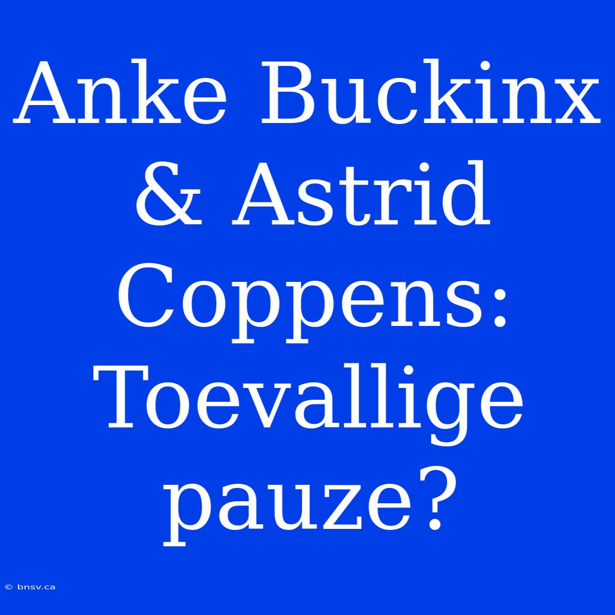 Anke Buckinx & Astrid Coppens: Toevallige Pauze?