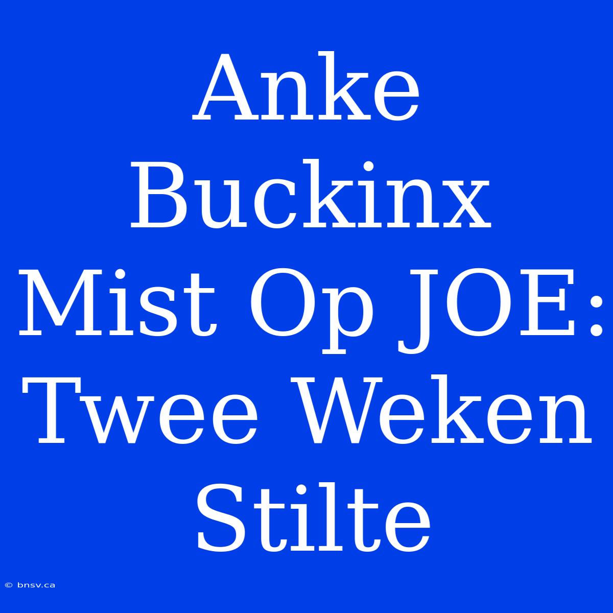 Anke Buckinx Mist Op JOE: Twee Weken Stilte