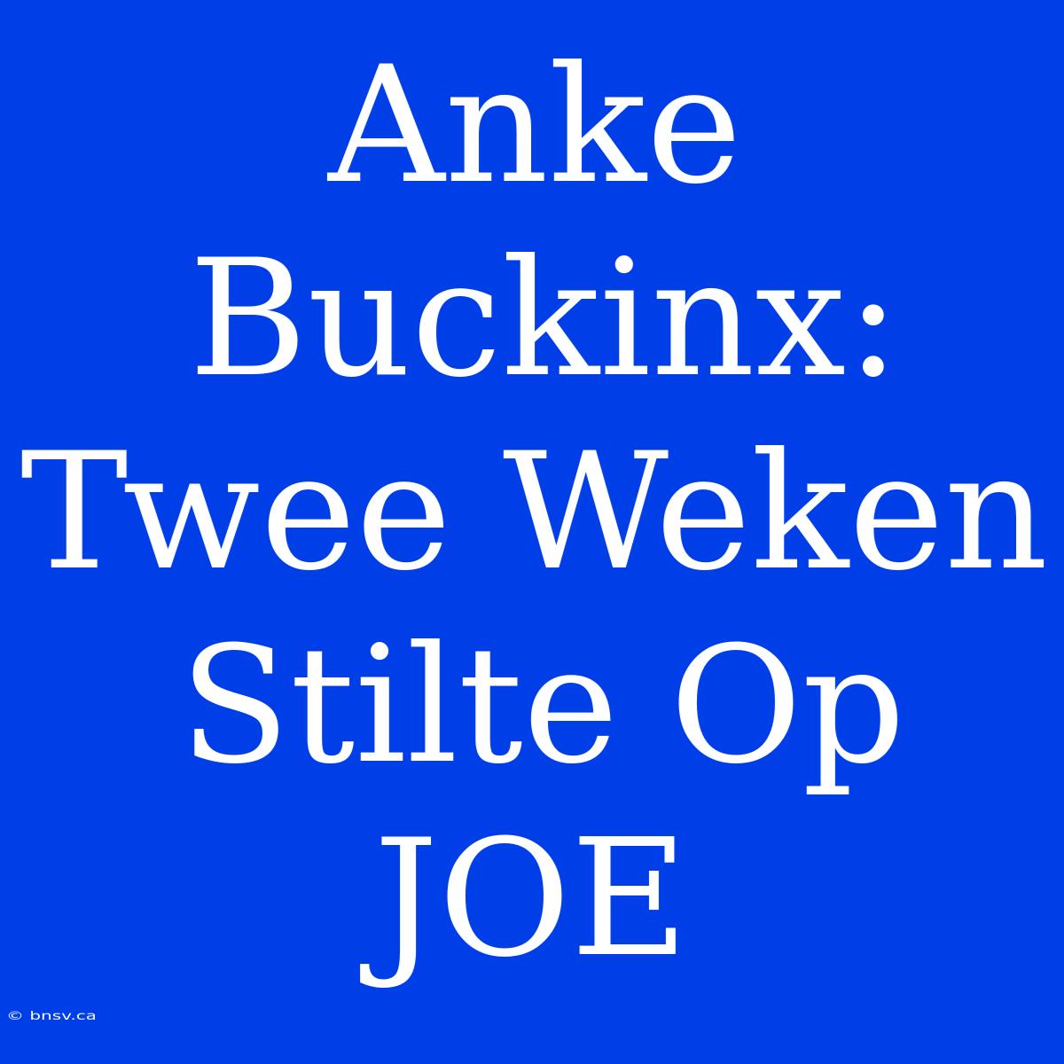 Anke Buckinx: Twee Weken Stilte Op JOE