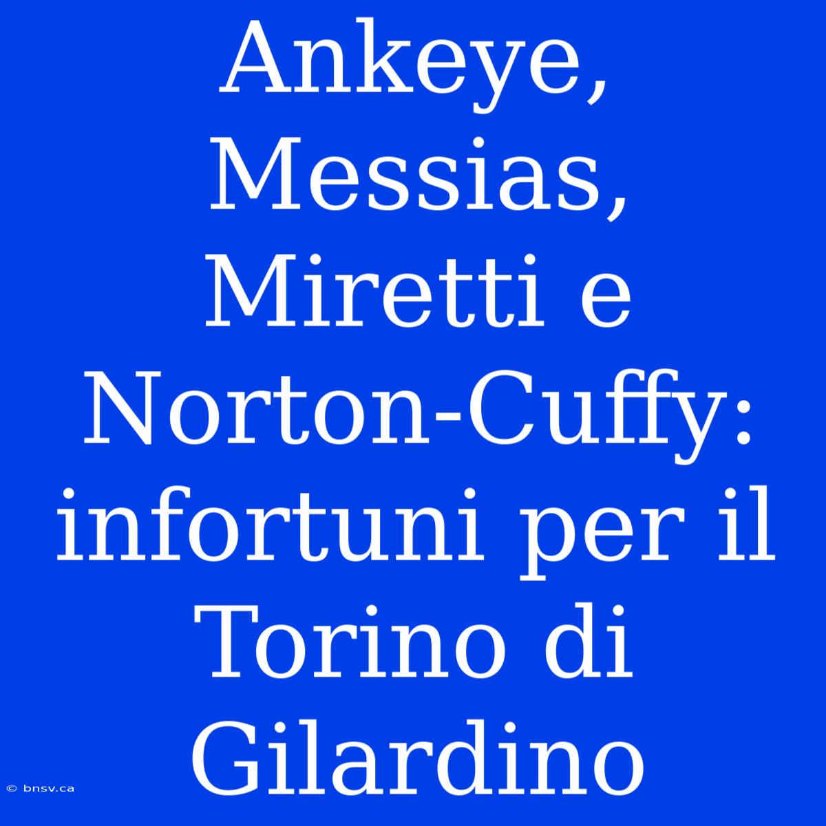 Ankeye, Messias, Miretti E Norton-Cuffy: Infortuni Per Il Torino Di Gilardino