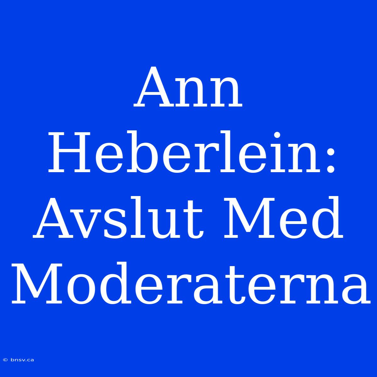 Ann Heberlein: Avslut Med Moderaterna