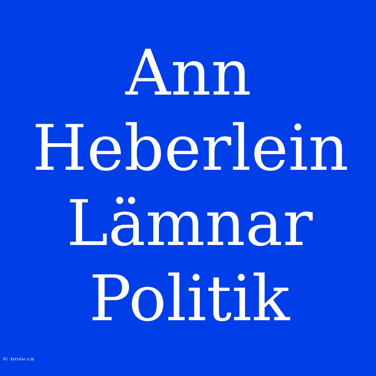 Ann Heberlein Lämnar Politik