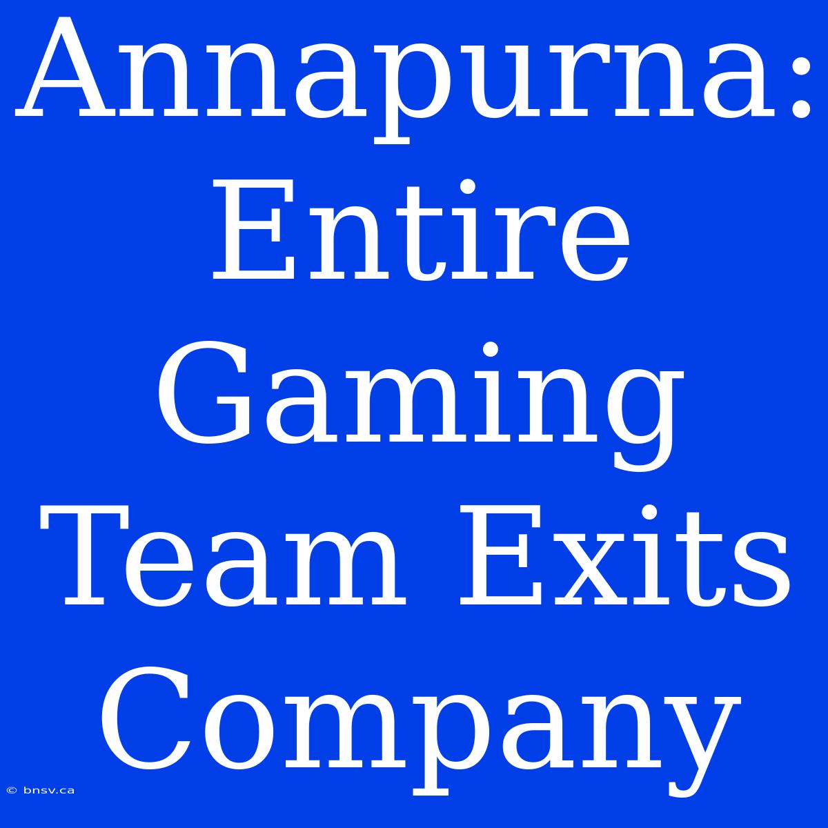 Annapurna: Entire Gaming Team Exits Company