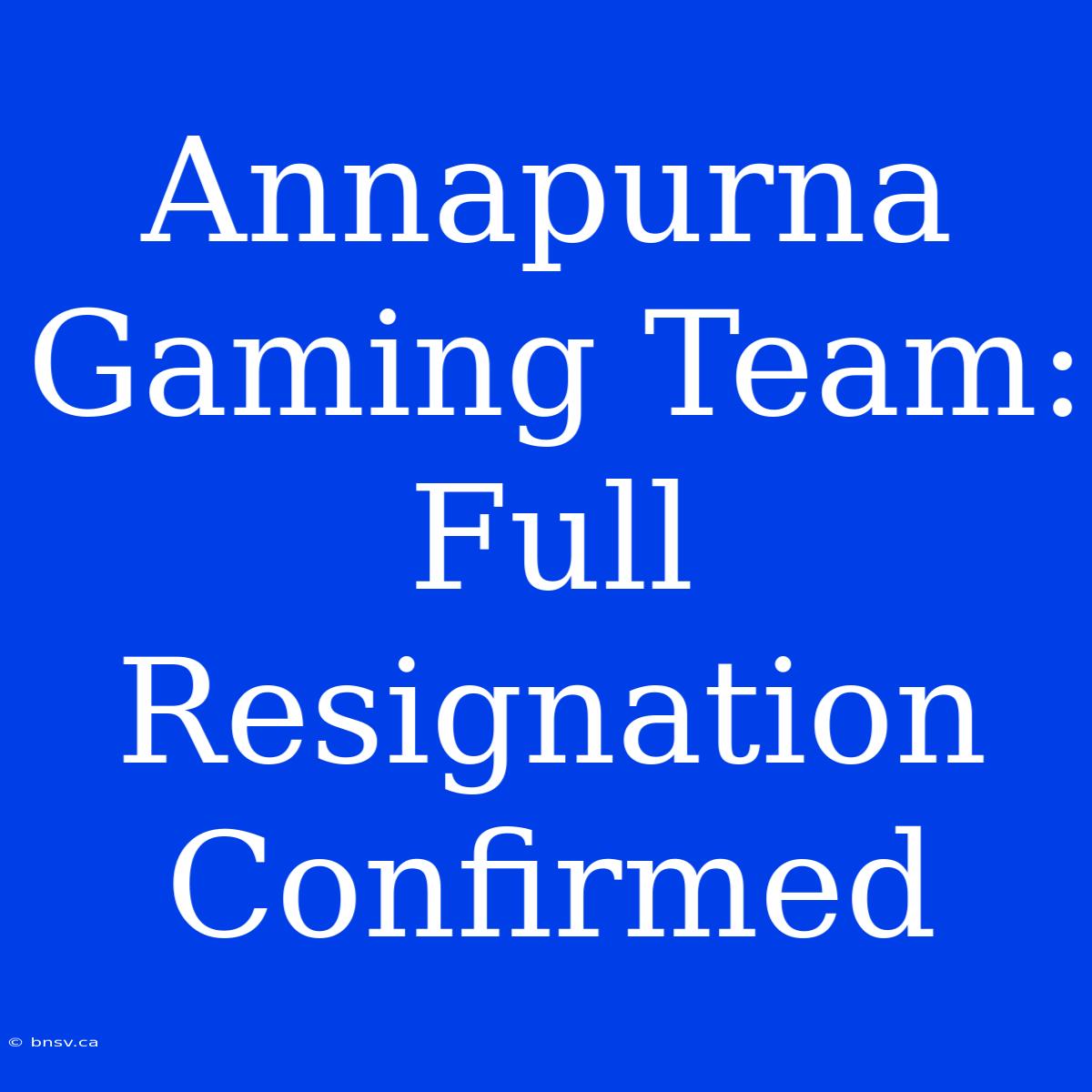 Annapurna Gaming Team: Full Resignation Confirmed