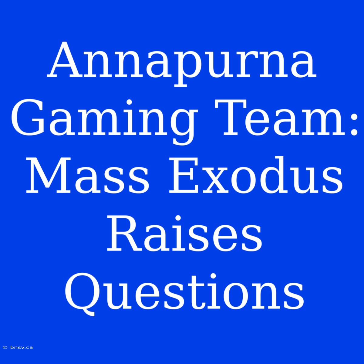 Annapurna Gaming Team: Mass Exodus Raises Questions