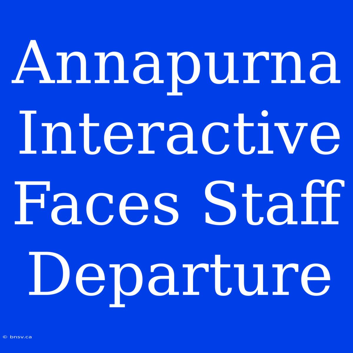 Annapurna Interactive Faces Staff Departure