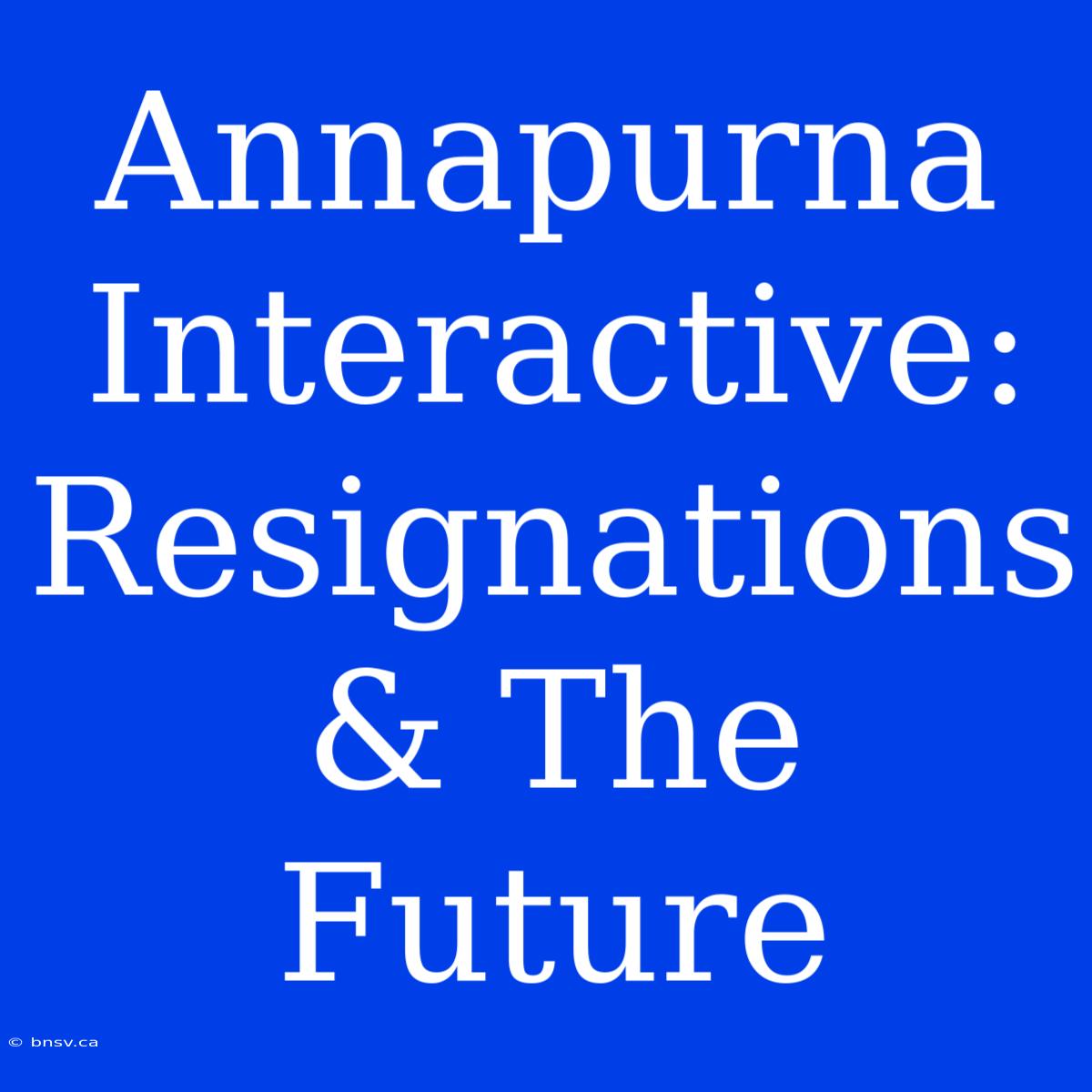 Annapurna Interactive: Resignations & The Future