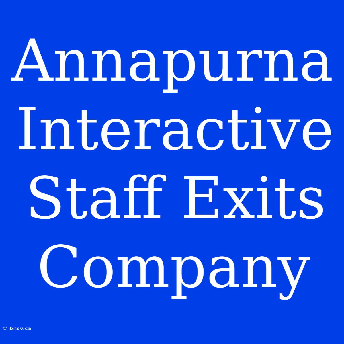 Annapurna Interactive Staff Exits Company