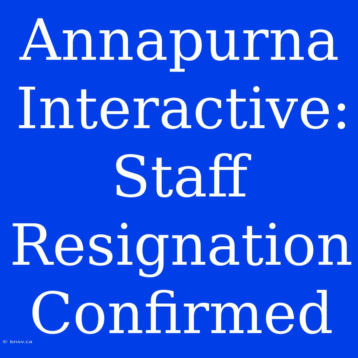 Annapurna Interactive: Staff Resignation Confirmed