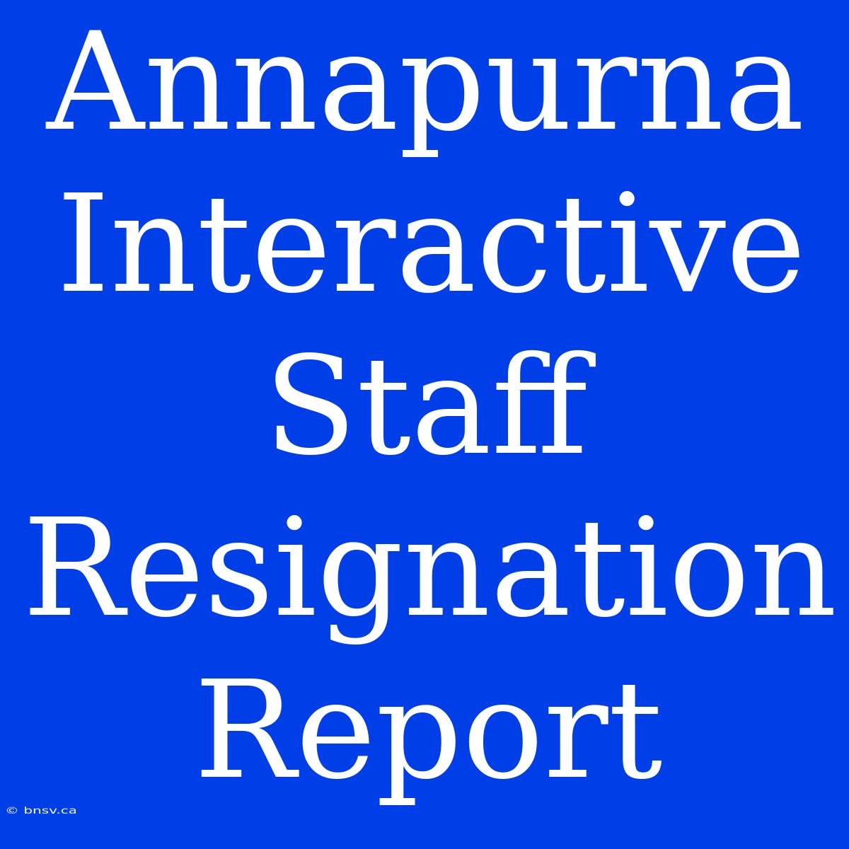 Annapurna Interactive Staff Resignation Report