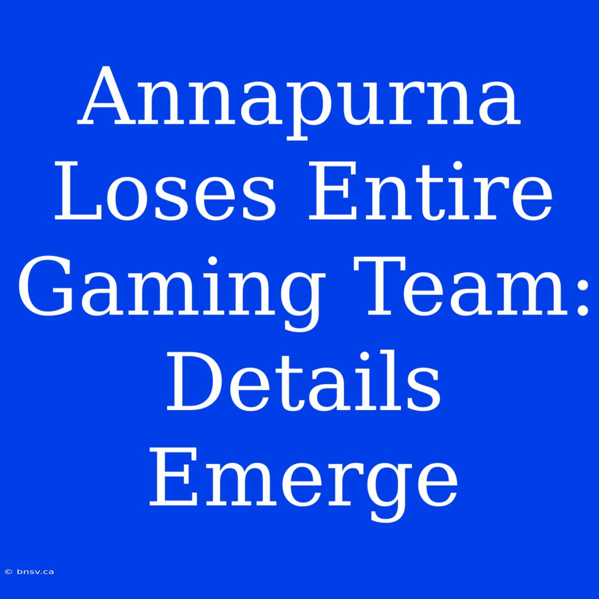 Annapurna Loses Entire Gaming Team: Details Emerge