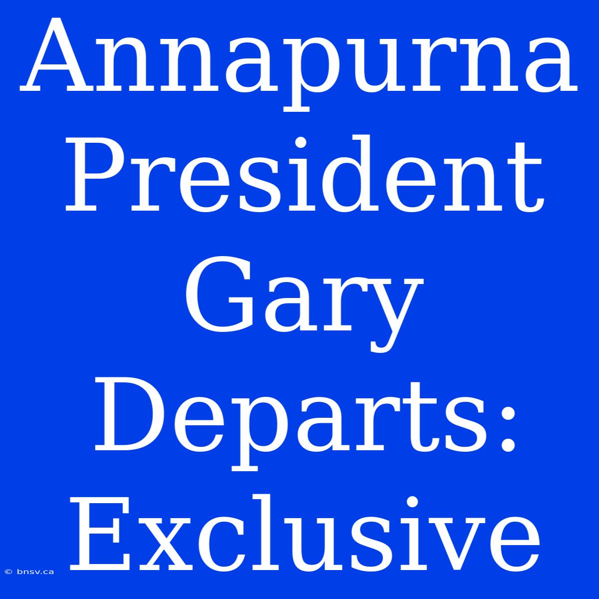 Annapurna President Gary Departs: Exclusive