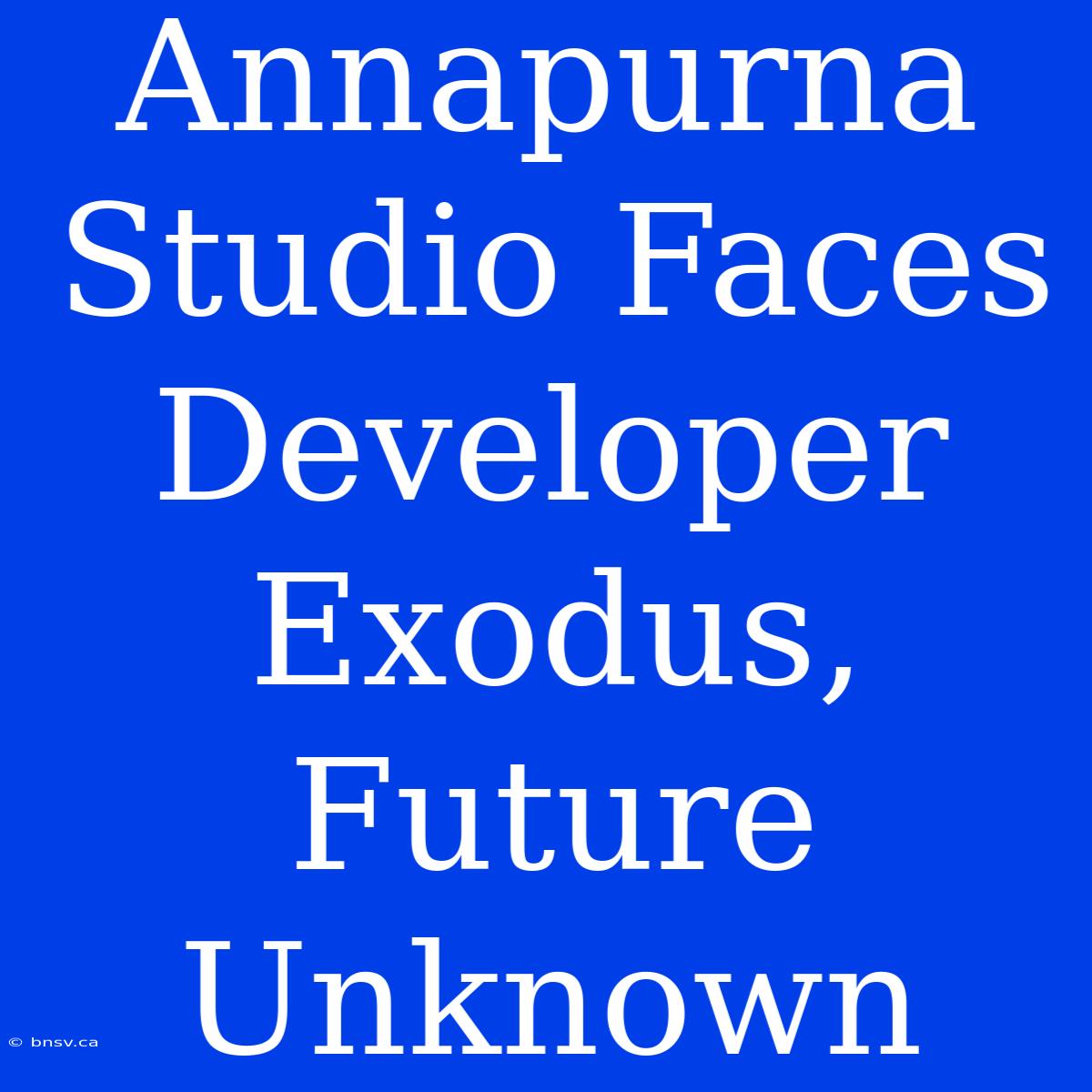 Annapurna Studio Faces Developer Exodus, Future Unknown