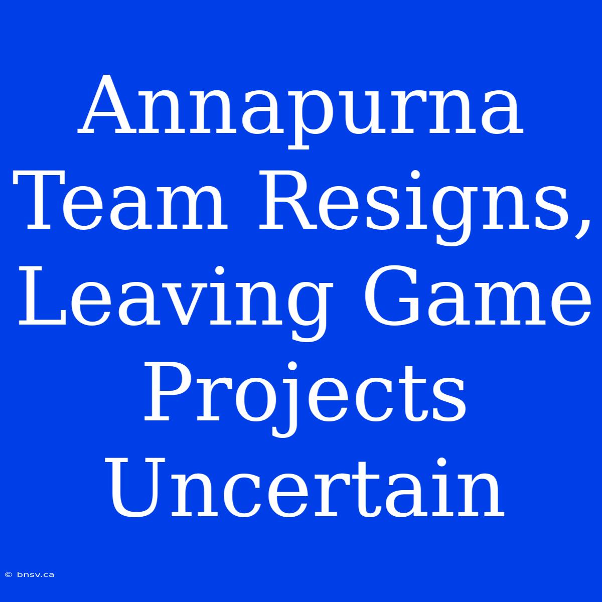 Annapurna Team Resigns, Leaving Game Projects Uncertain