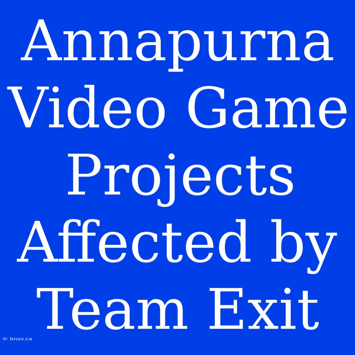 Annapurna Video Game Projects Affected By Team Exit