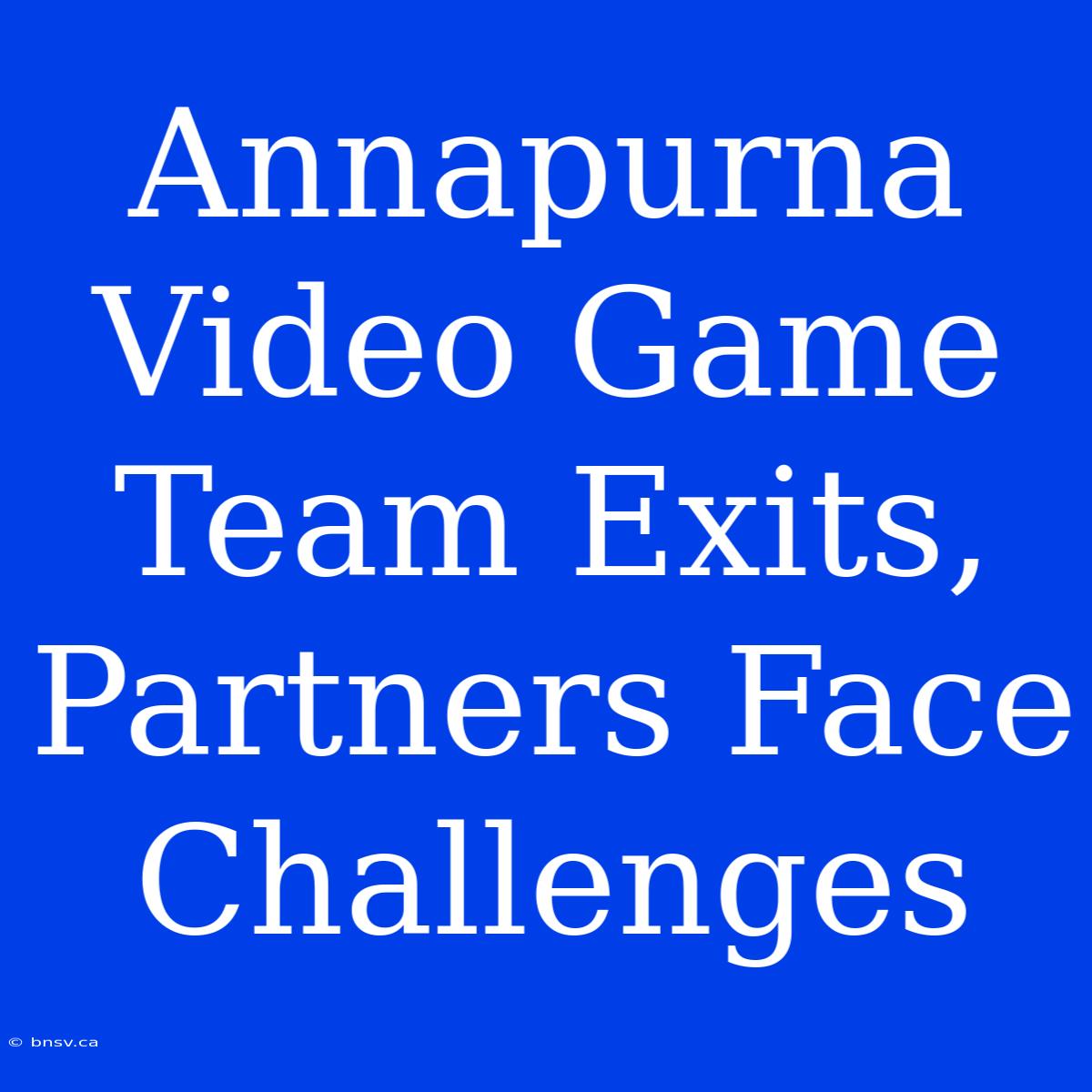 Annapurna Video Game Team Exits, Partners Face Challenges